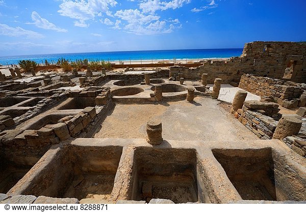 Europa Ausgrabungsstätte Playa de Bolonia Andalusien Cadiz Costa de la Luz Spanien