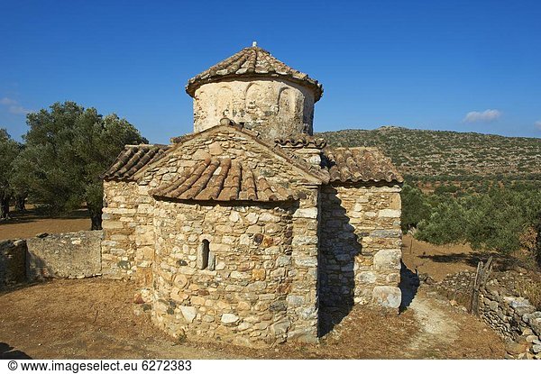 Europa  Baum  Kirche  Olive  Kykladen  Griechenland  Griechische Inseln  Naxos
