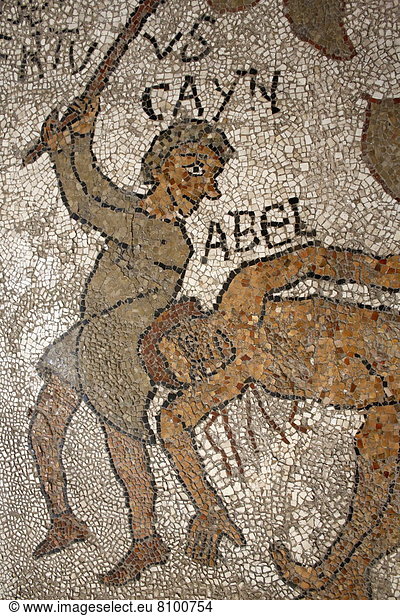 Europa  Boden  Fußboden  Fußböden  töten  Mittelpunkt  Italien  Lecce  Mosaik  Kirchenschiff  Otranto
