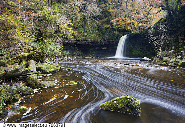 Europa  Großbritannien  Herbst  umgeben  Wasserfall  Brecon Beacons National Park  Laub  Powys  Wales