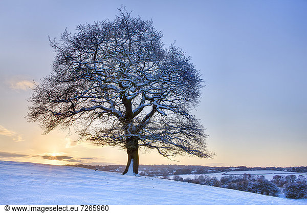 Europa Großbritannien Yorkshire and the Humber England West Yorkshire