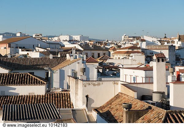 Europa Kathedrale Ansicht Andalusien Glocke La Mezquita Spanien