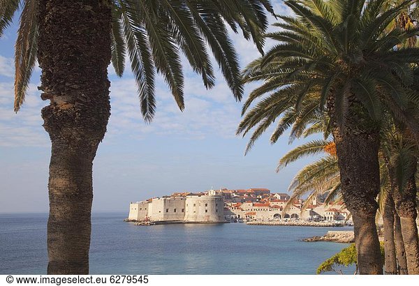Europa  Kroatien  Dubrovnik