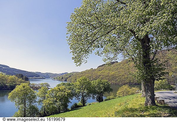 Europa  Luxemburg  Diekirch  Lultzhausen  Ansichten des Lac Sure vom Aussichtspunkt.