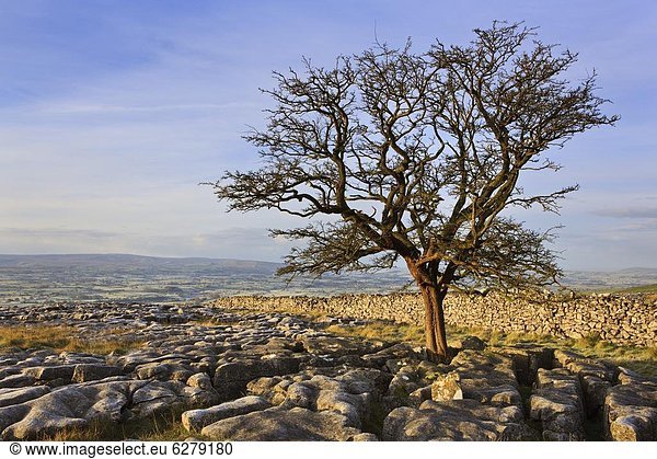 Europa Morgen Großbritannien früh Herbst Yorkshire and the Humber Tal England