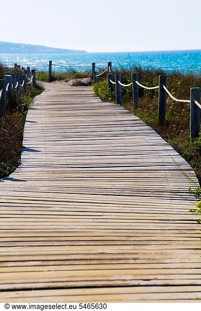 Europa Schutz Küste Holzweg Insel Düne Balearen Balearische Inseln Formentera Spanien