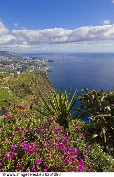 Europa sehen Steilküste Meer Insel 1 Atlantischer Ozean Atlantik Funchal Madeira Portugal