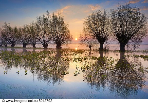 Europa Sonnenaufgang Polen