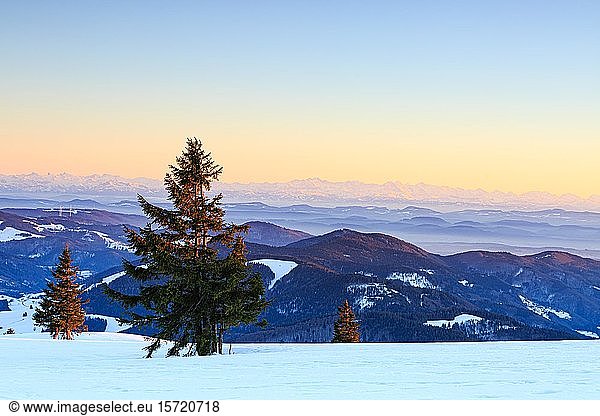 Evening atmosphere at the wintery summit of the Belchen at sunset  view of mountain ranges and alpine chain  Black Forest  Baden-Württemberg  Germany  Europe