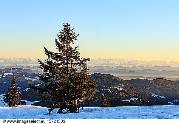 Evening atmosphere at the wintery summit of the Belchen at sunset  view of mountain ranges and alpine chain  Black Forest  Baden-Württemberg  Germany  Europe