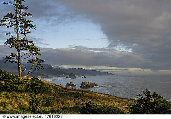 Evening light bathes Chapman Point at Ecola State Park on the Oregon Coast; Cannon Beach  Oregon  United States of America