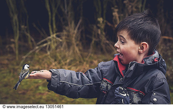 Excited boy with mouth open feeding bird on hand