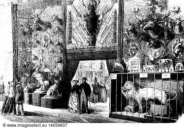 exhibitions  world exposition  Paris  1.4.1867 - 31.12.1867  zoological department  wood engraving  1867  Exposition Universelle  Expo  international exhibition  padded animals  people  visitors  France  2nd Empire  19th century  historic  historical