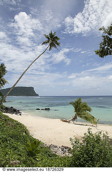 Exotic beach with palm trees in the South Pacific