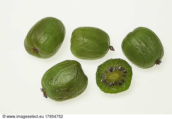 Exotic fruits: hardy kiwi (Actinidia arguta)  also called kiwi berry  honeyberry  kokuwa  kiwai or small-fruited kiwi  is a species of plant in the rayberry family  exotic fruits