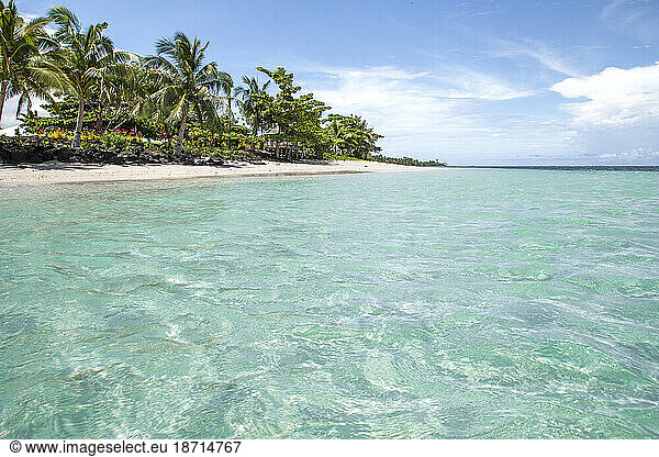 Exotic garden  next to white sand beach with clear waters  Samoa