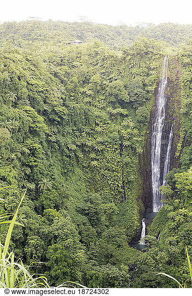 Exotic landscape with high waterfall during golden hour  Samoa