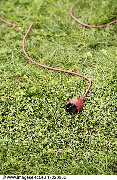 Extension cord lying on green grass
