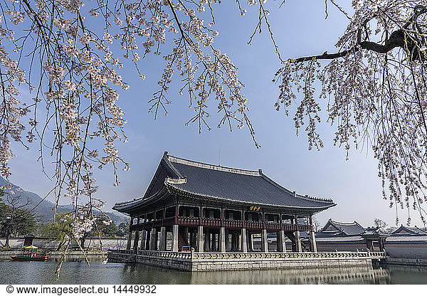 Exterior view of Gyeonghoeru Pavilion and lake in Gyeongbok Palace  Seoul  South Korea.