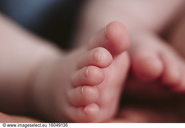 Extreme close-up of baby girl's feet