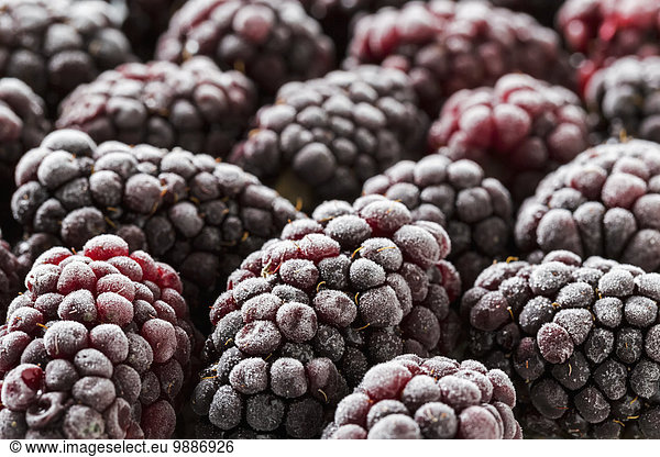 Extreme close up of frosted blackberries; Calgary,  Alberta,  Canada
