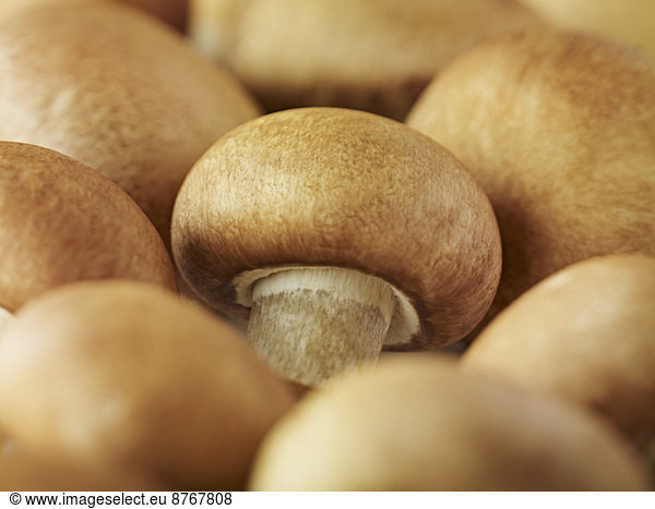 Extreme close up of whole chestnut mushrooms