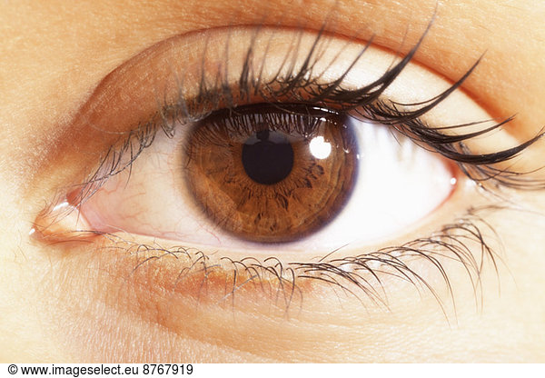 Extreme Nahaufnahme der braunen Augen