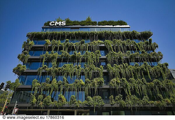 Facade greening on new building  CMS Hasche Sigle office building  Calwer Straße  Stuttgart  Baden-Württemberg  Germany  Europe