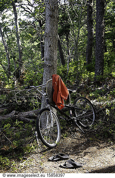 Fahrrad ruht neben einem Baum im Wald