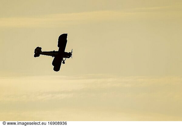 Fairey Swordfish aircraft in flight at sunset in Royal Navy markings  Cambridgeshire  England  United Kingdom  Europe
