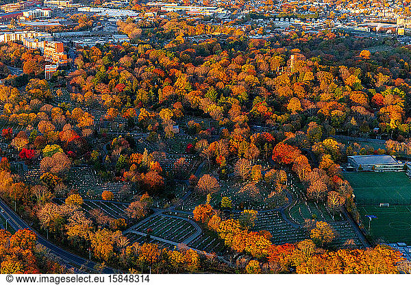 Fall foliage aerial view at sunrise.