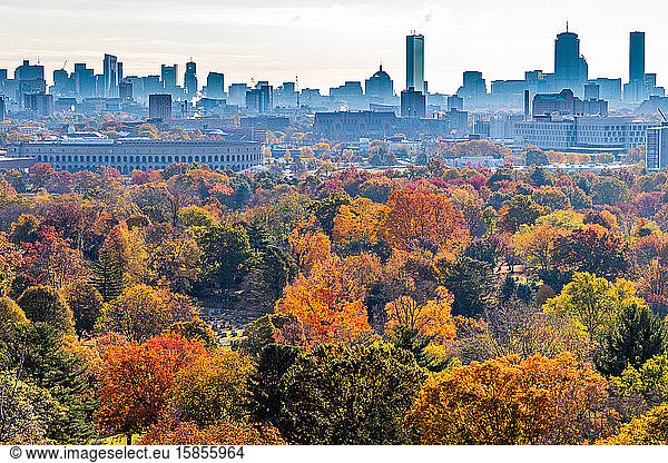 Fall foliage colors popping in front of city skyline.