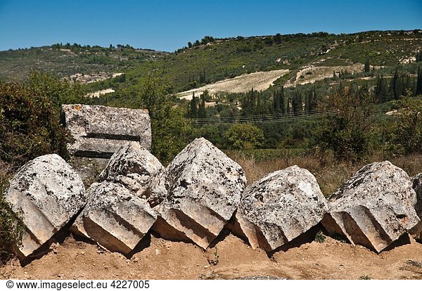 Fallen column drums  lay where they fell  from a column of the Temple of Zeus at Ancient Nemea  Korinthia  Peloponnese  Greece