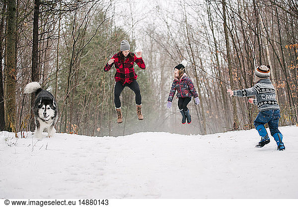 Familie mit Haushund spielt in Schneelandschaft