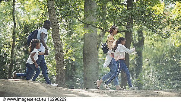 Familie wandert in Sommerwäldern an Bäumen vorbei