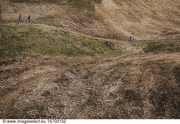 Family bikes across a section that has been clear cut