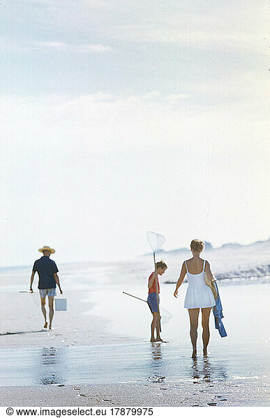 Family crabbing at Beach  Hamptons  Long Island  New York  USA  Toni Frissell Collection  August 1955