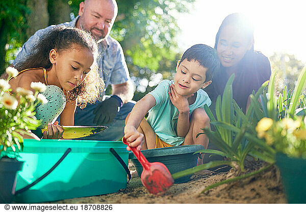 Family digging in dirt  planting flowers in sunny summer garden