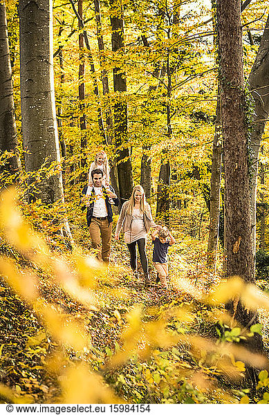Family exploring while walking amidst trees in forest