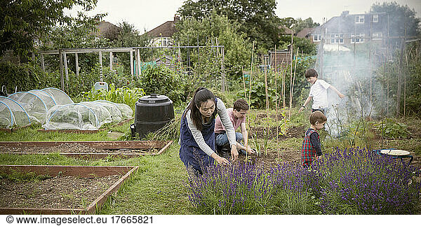 Family gardening in backyard garden