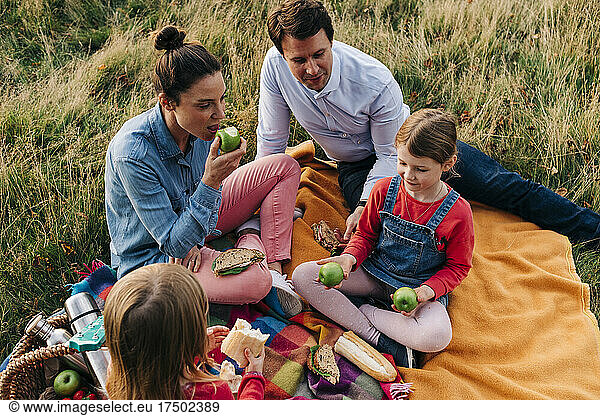 Family having food on picnic blanket at grass area