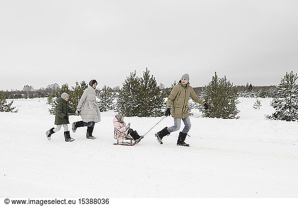 Family having fun with sledge in snow-covered landscape