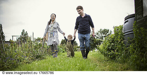 Family holding hands and walking in garden grass