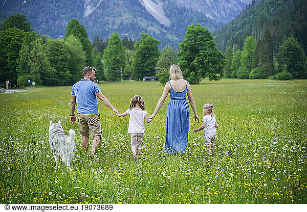 Family holding hands and walking together in meadow