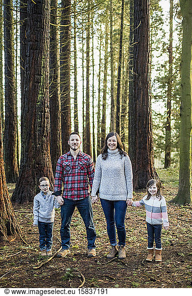 Family of four holding hands  standing in forest.