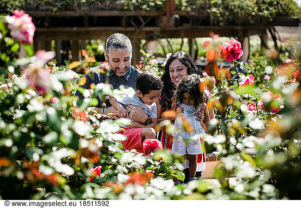 Family of Four Standing in Garden with Roses in Foreground