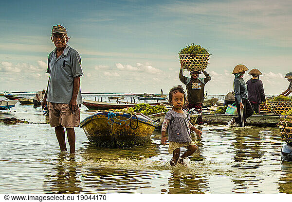 Family of seaweed farmers working together in Nusa Lembongan