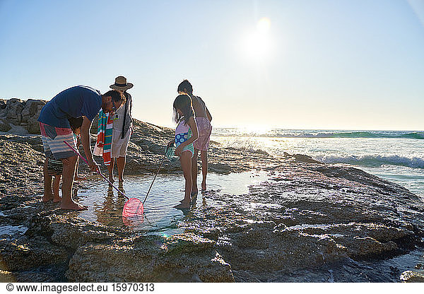 Family playing in tide pool on sunny ocean beach
