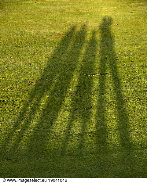 Family portrait in silhouette on green grass  Kauai