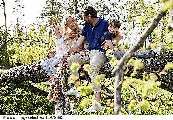 Family sitting on fallen tree in forest